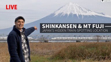 ONLY in JAPAN – Japan from the Inside Out
